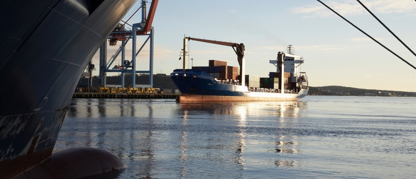 distributor oli marine